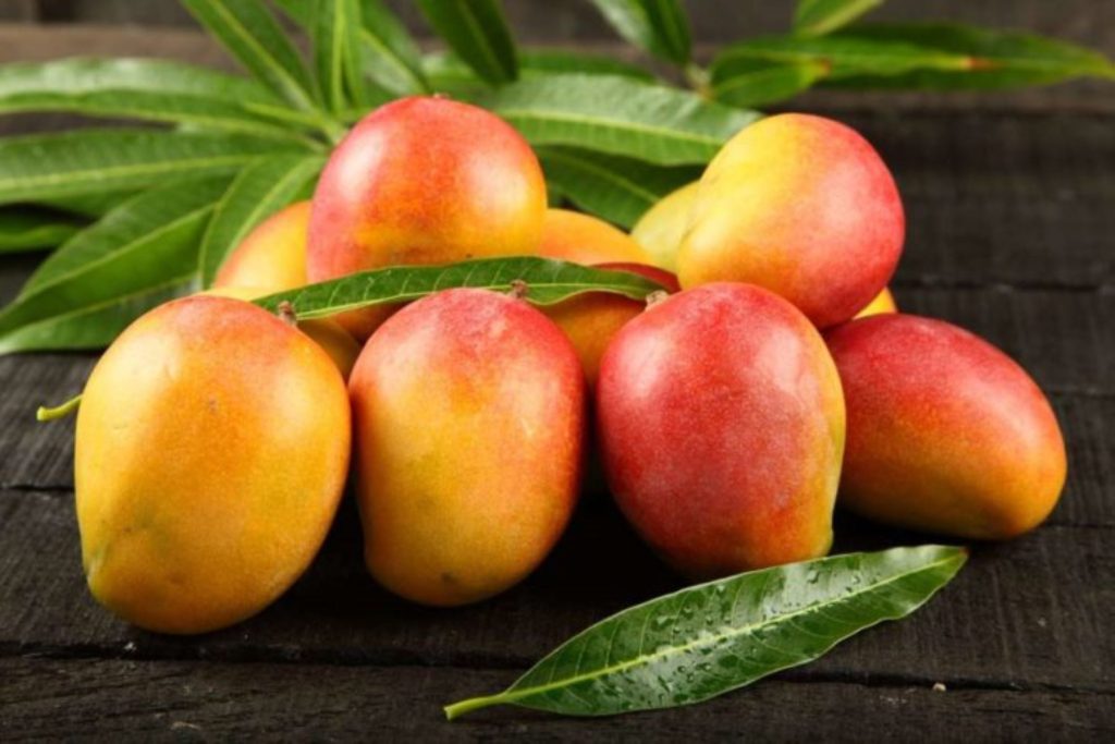 mango piura