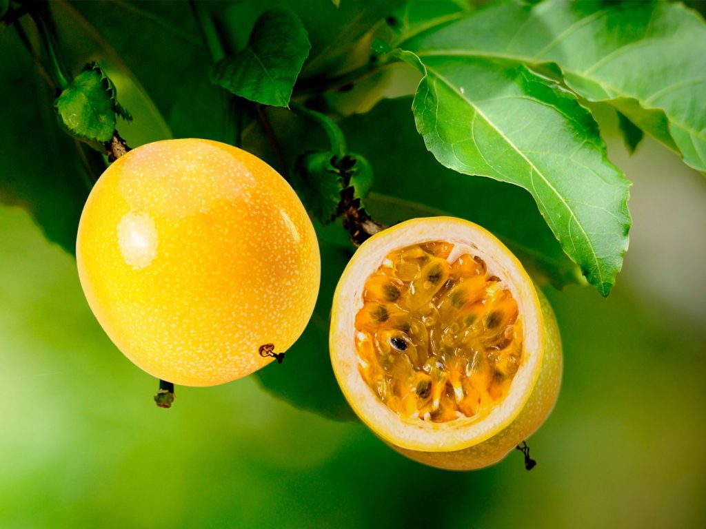 MARACUYA