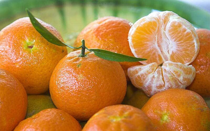 naranja piura